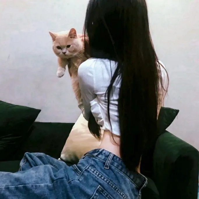 简爱2011